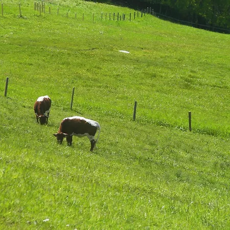 Haus Stablerkraemer Διαμέρισμα *