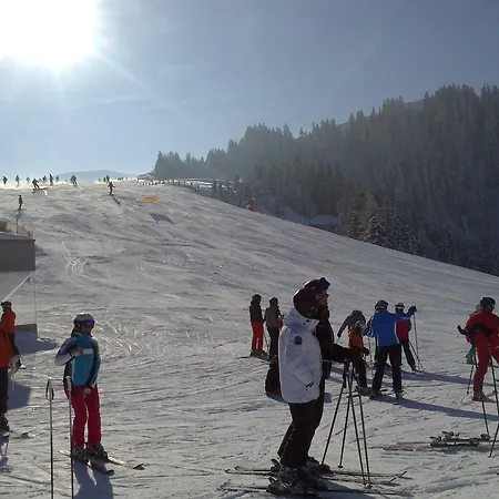 Апартаменты Haus Stablerkraemer Мариа-Альм