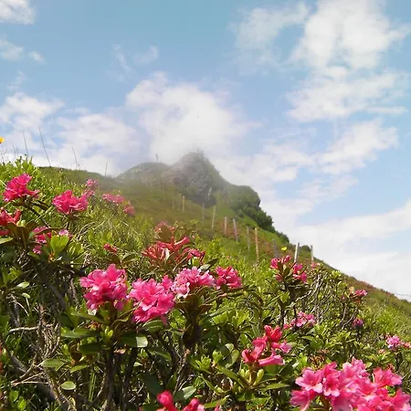 Διαμέρισμα Haus Stablerkraemer